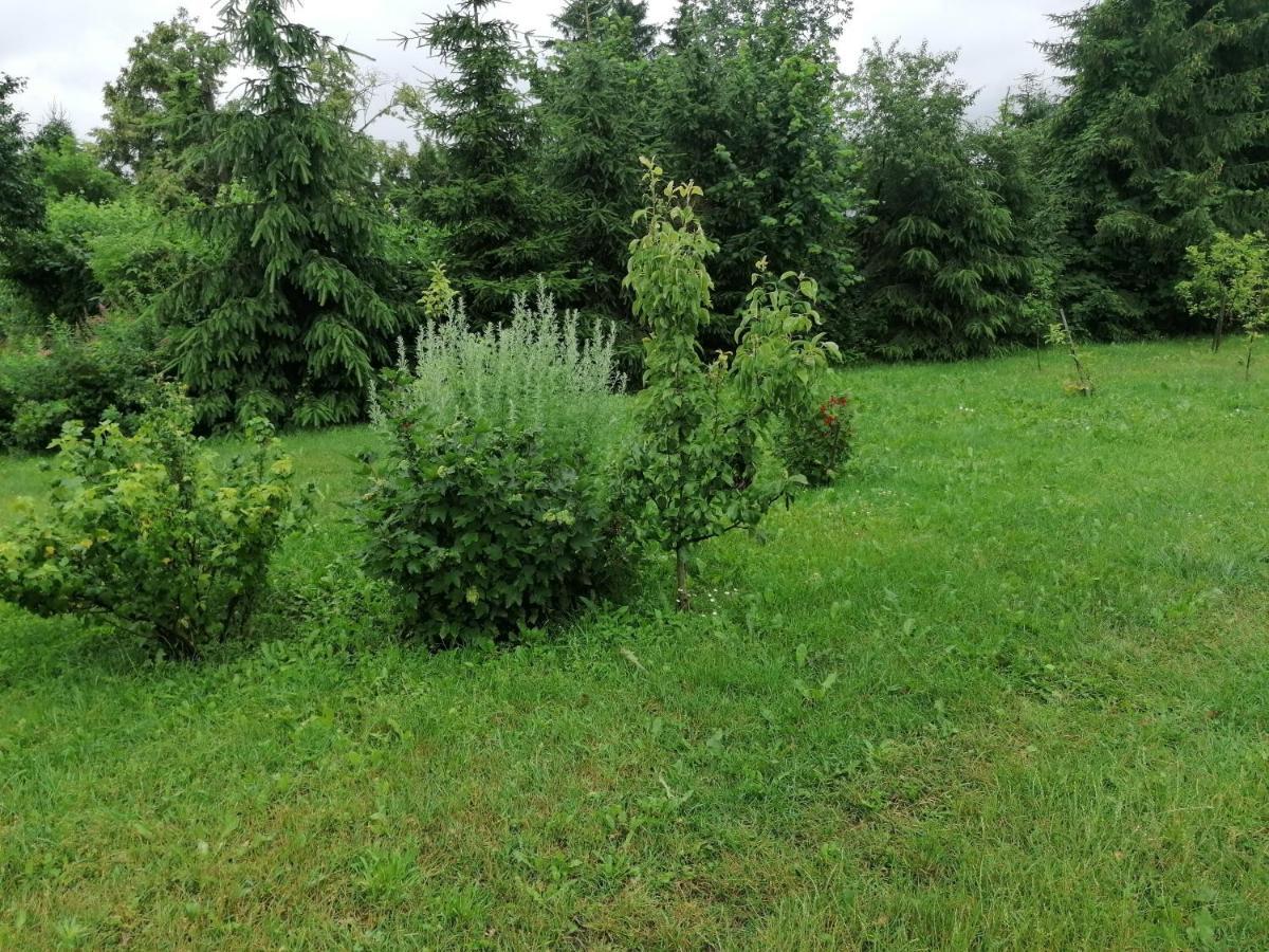 Dobra Holiday home *