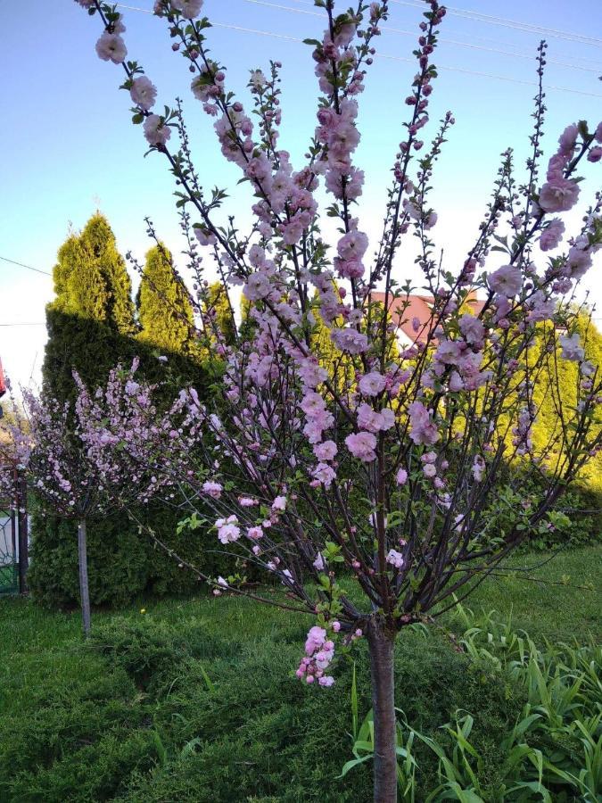 Holiday home Dobra